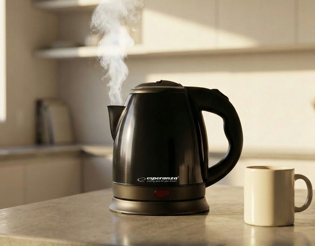 CORDLESS ELECTRIC KETTLE SMALL 1L 1350W STEEL ESPERANZA Packaging status original