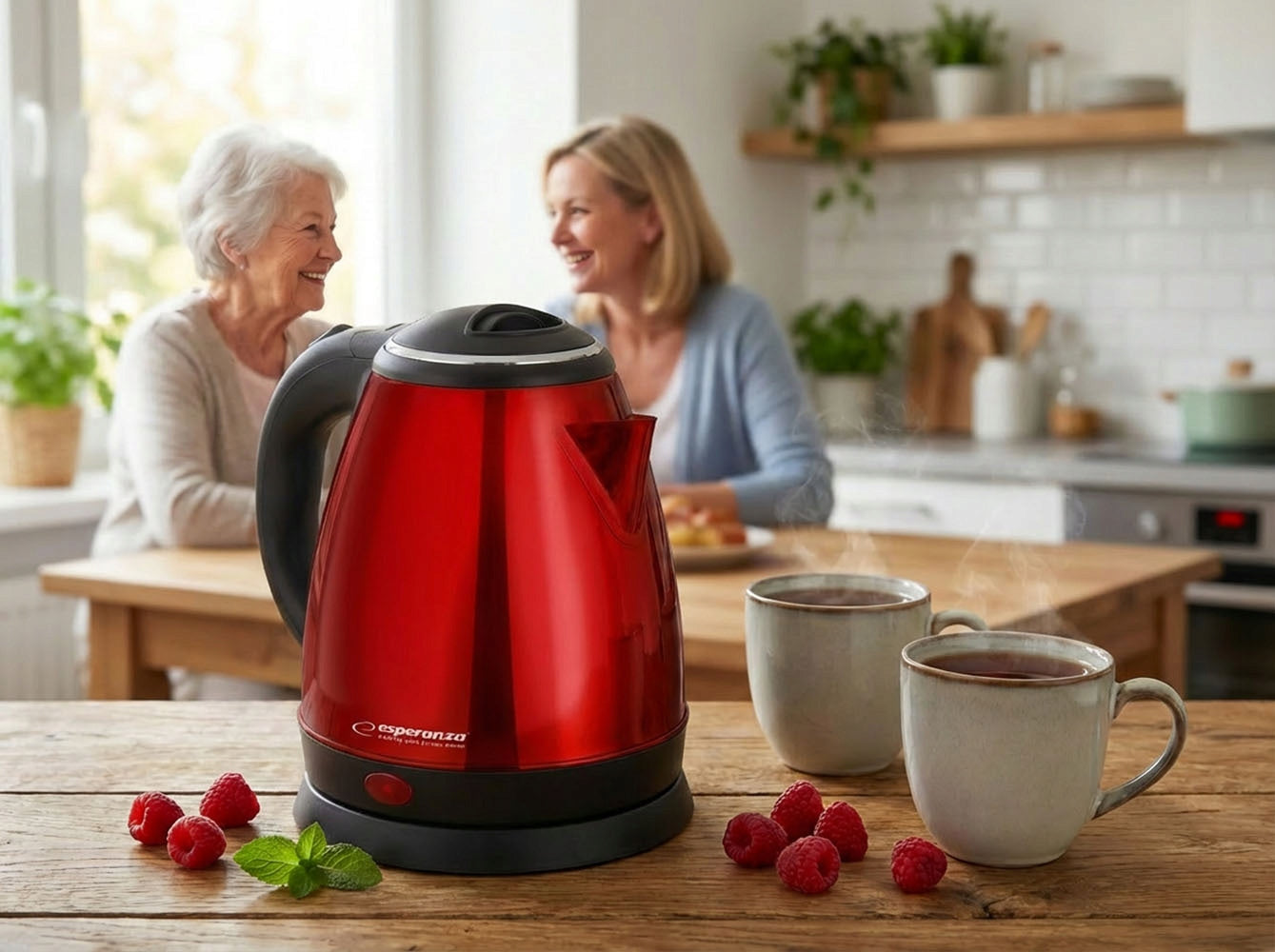 CORDLESS ELECTRIC KETTLE SMALL 1L 1350W STEEL ESPERANZA RED Capacity 1 l