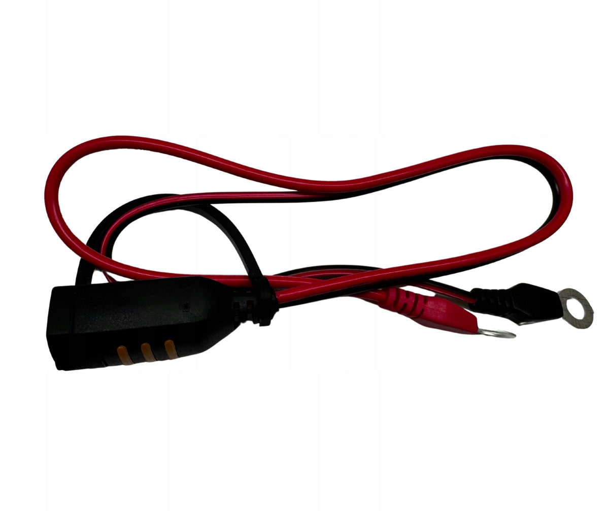CTEK CONNECT EYELET M6 56-259