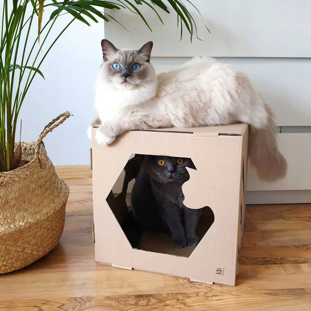CUBE Cardboard Cat House - Booth Bed Cardboard Booth - Brown Manufacturer code CUBES