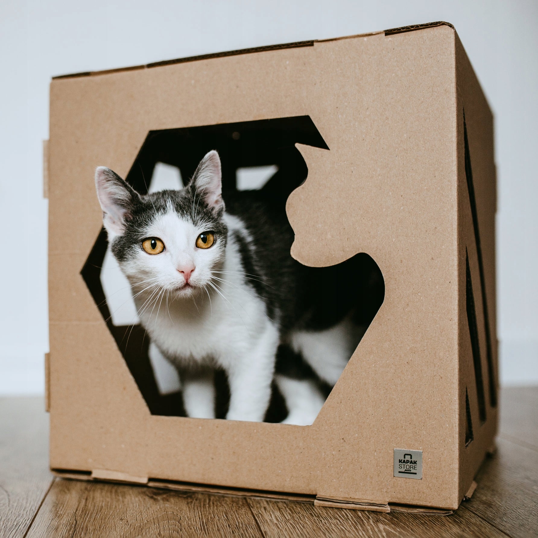 CUBE Cardboard Cat House - Booth Bed Cardboard Booth - Brown Trade name Domek CUBE marki Kapak Store