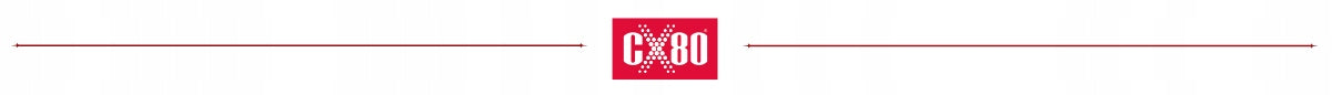 CX80 Multifunction Preservative and Repair Liquid 250ml Spray Manufacturer code 075