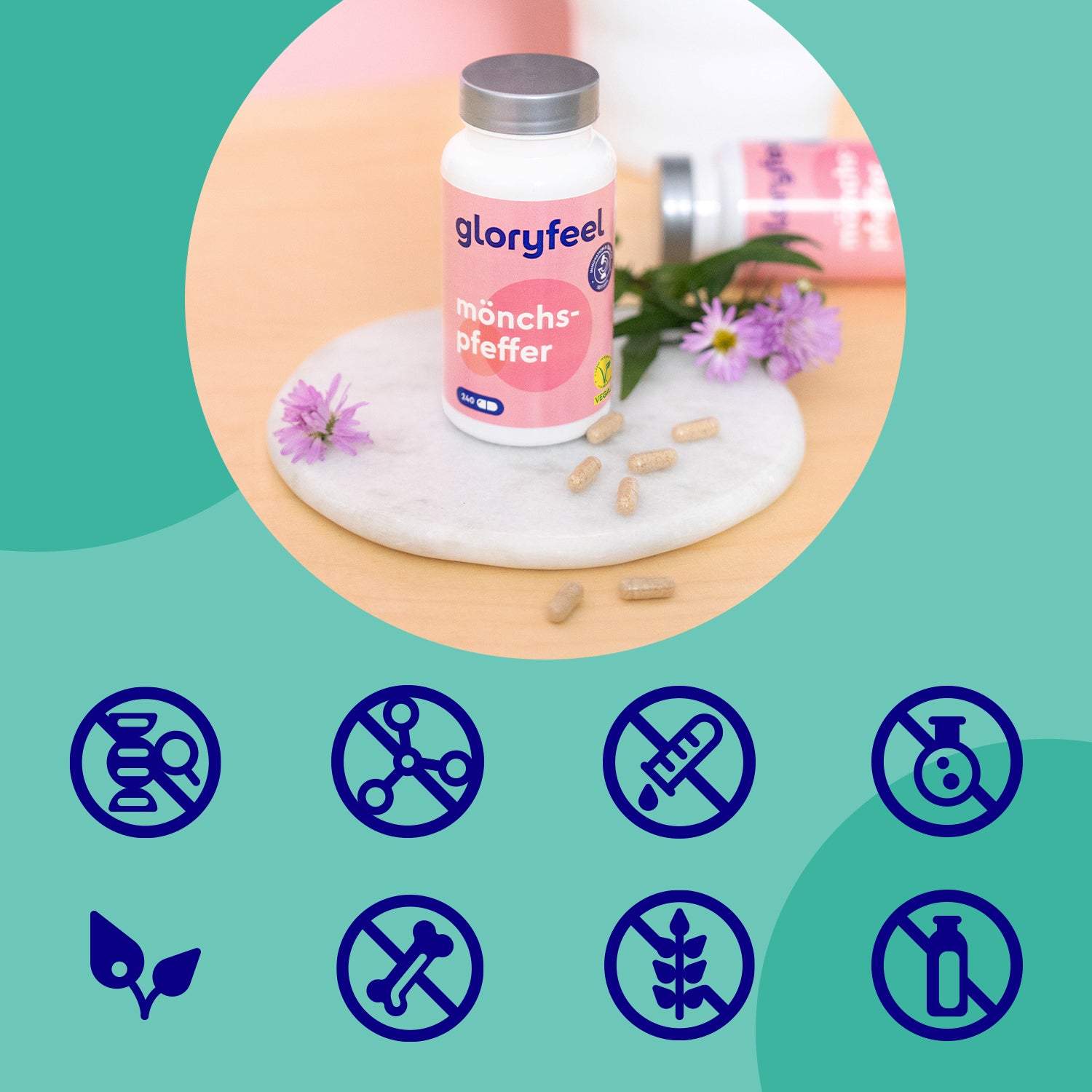 CZYSTY NIEPOKALANEK VITEX AGNUS CACTUS 240k Ekstrakt 10:1 gloryfeel Brand Gloryfeel