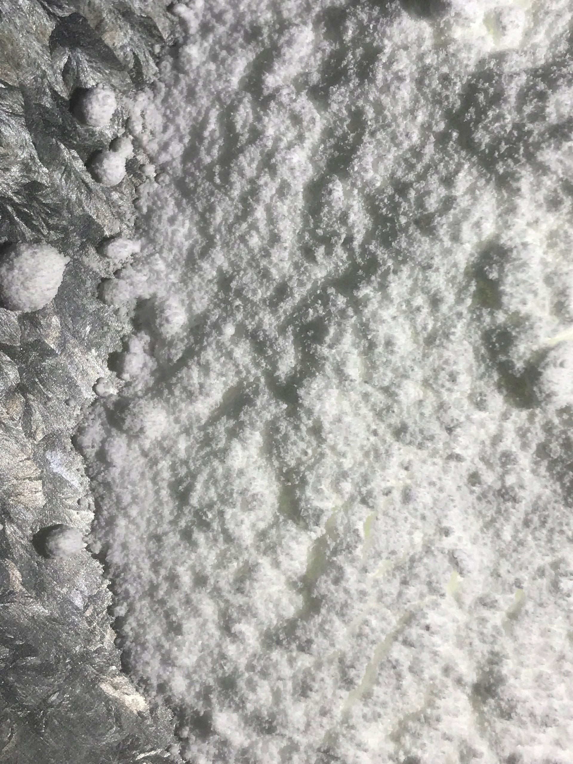 Caffeine Anhydrous 0,5kg PURE POWDER Manufacturer code 5903641930512