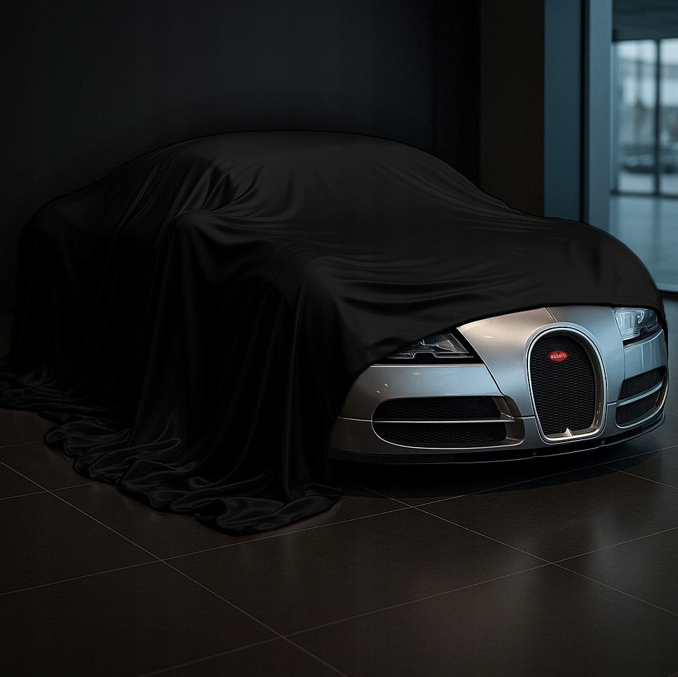 Car Cover Exhibition Showroom Premiere Car Pickup - Black Packaging status original