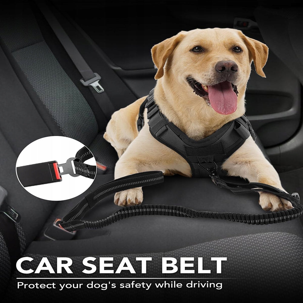 Car Dog Leash with Shock Absorber, Black, 1.78 m Color black