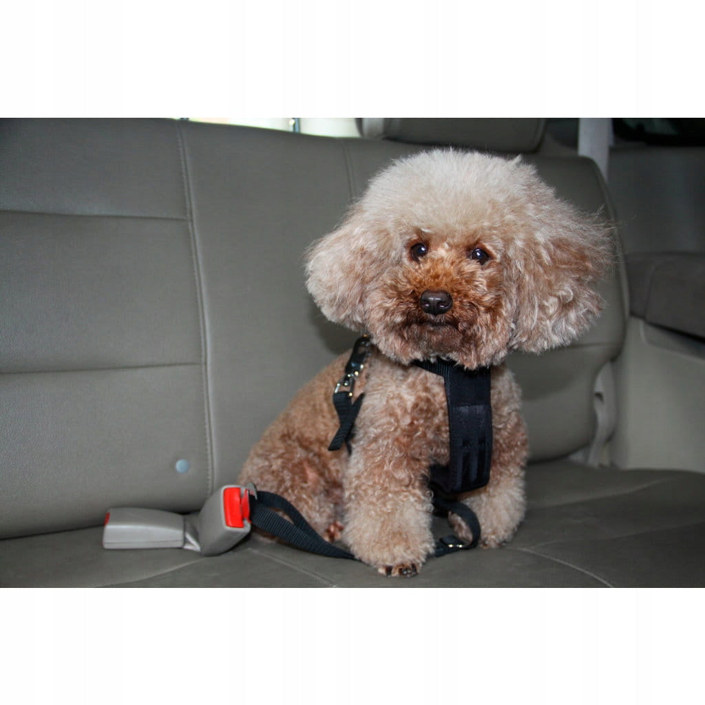 Car Harness Dog Carrying Straps