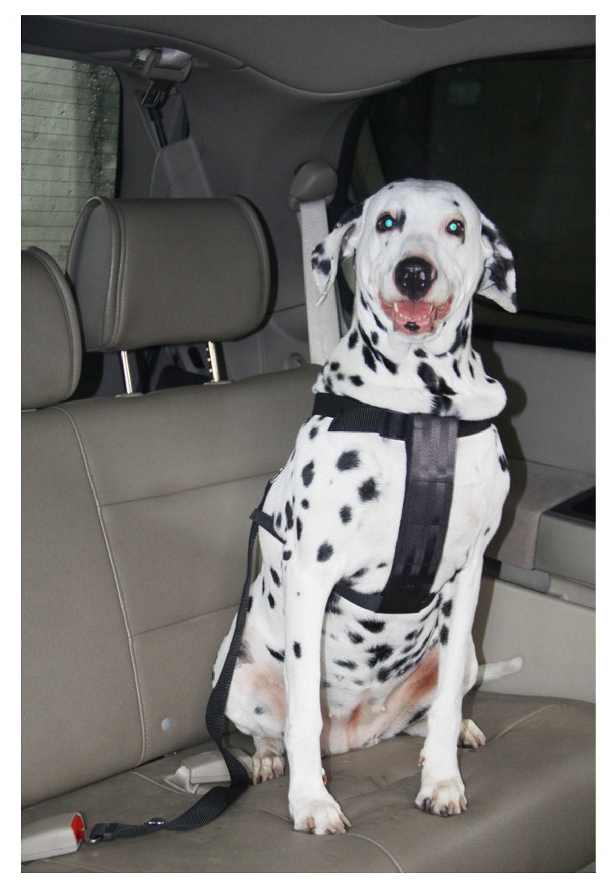 Car Harness For Dog L Max 24 Kg