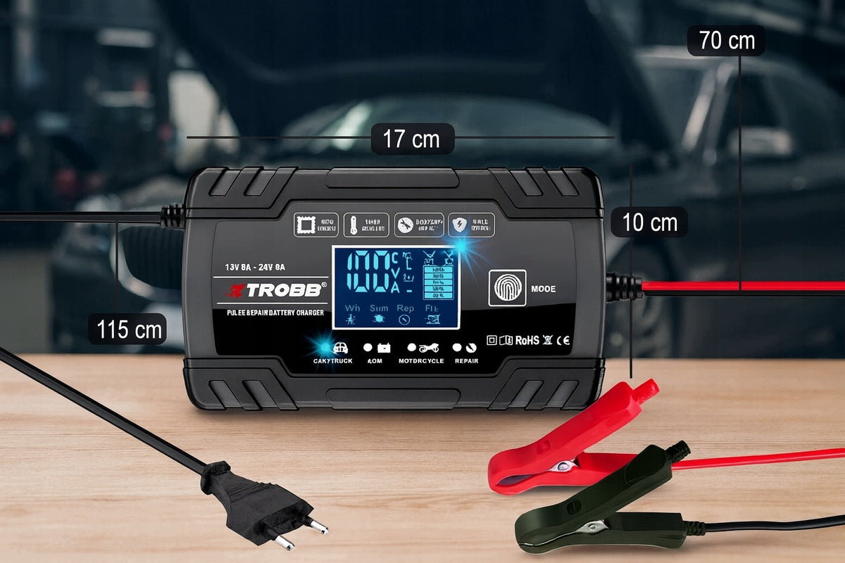 Car Rectifier 12V 24V AUTOMATIC Battery Repair Function