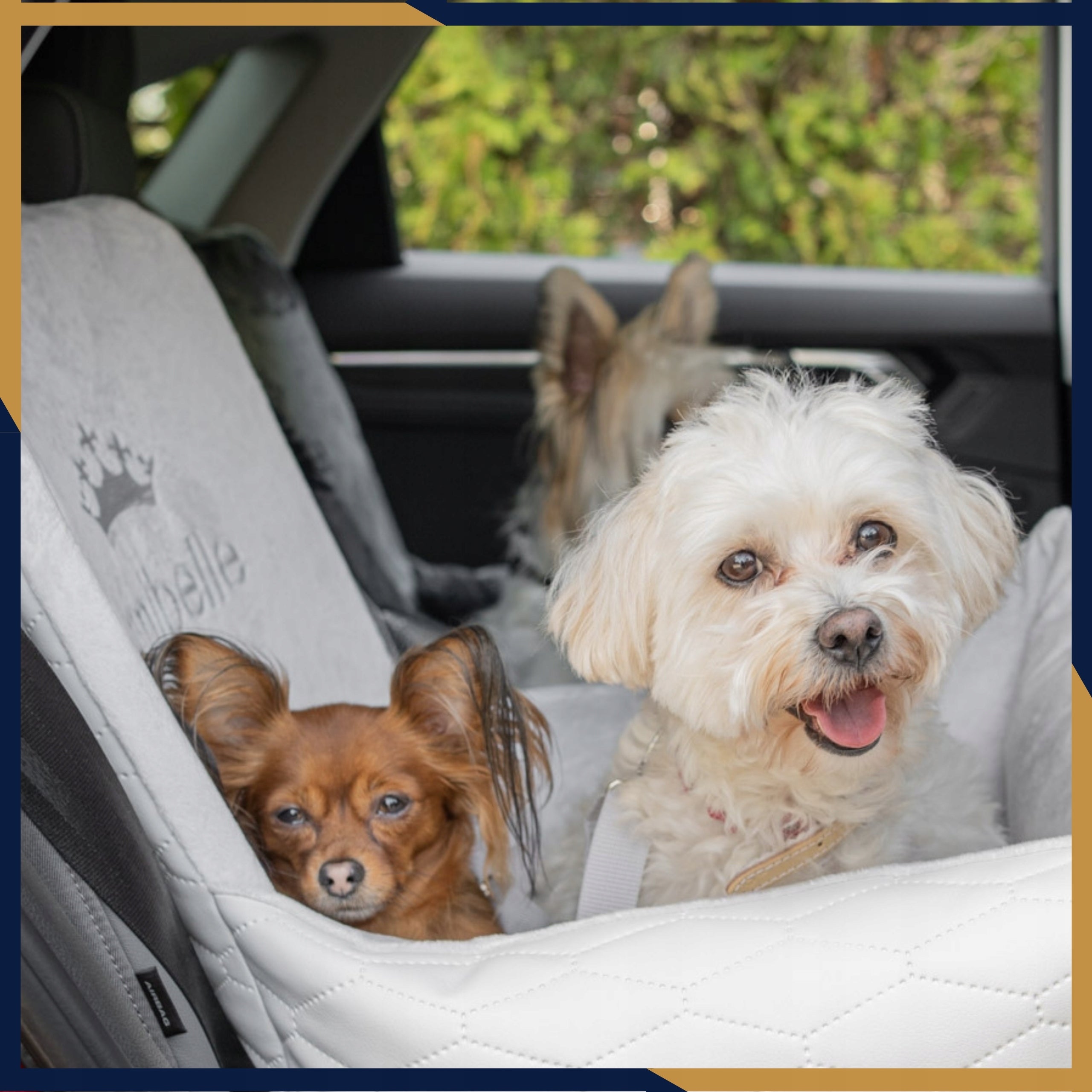 Car Seat Transporter Cat Dog Bedding for Car Breathable Brand Amibelle
