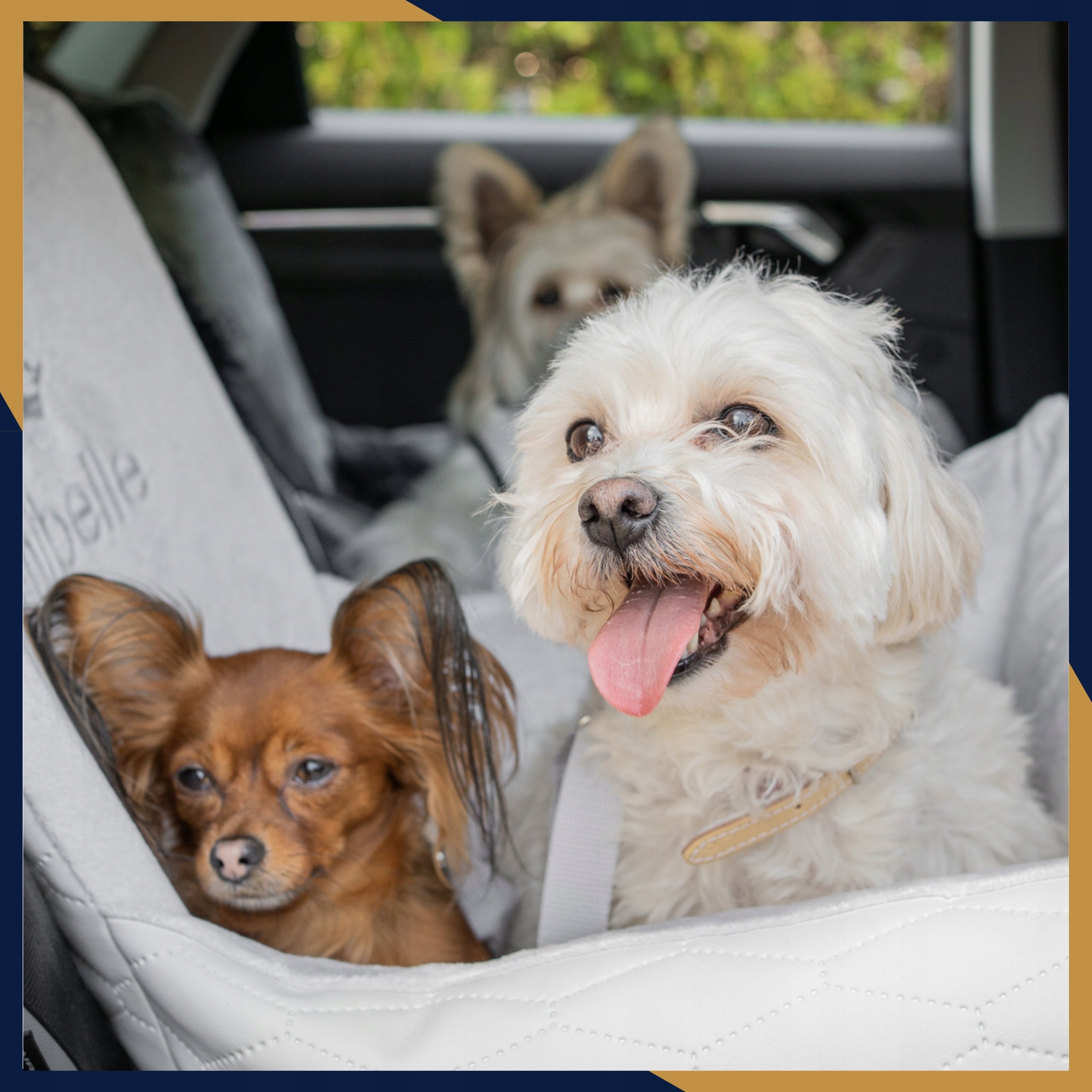 Car Seat Transporter Cat Dog Bedding for Car Breathable Trade name fotelik samochodowy dla psa