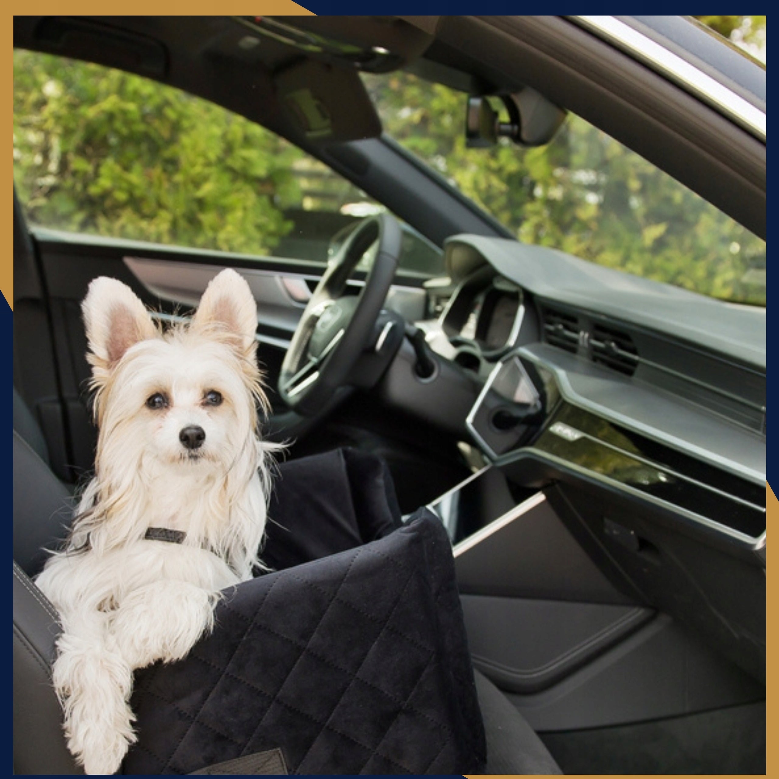 Car Seat for Dog Cat Transporter Bed for Pupil Main material fabric