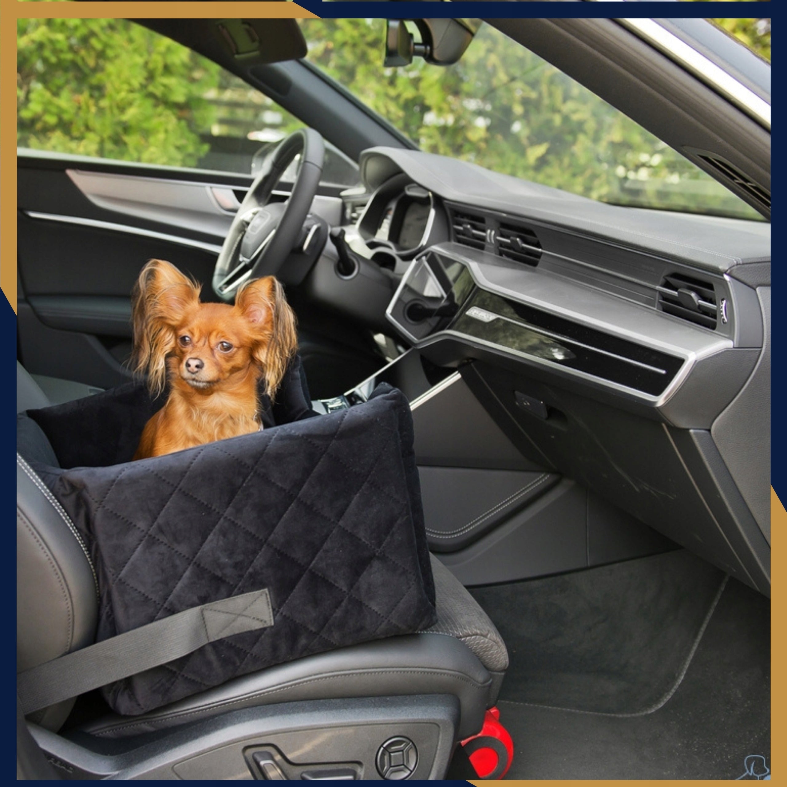 Car Seat for Dog Cat Transporter Bed for Pupil Size M
