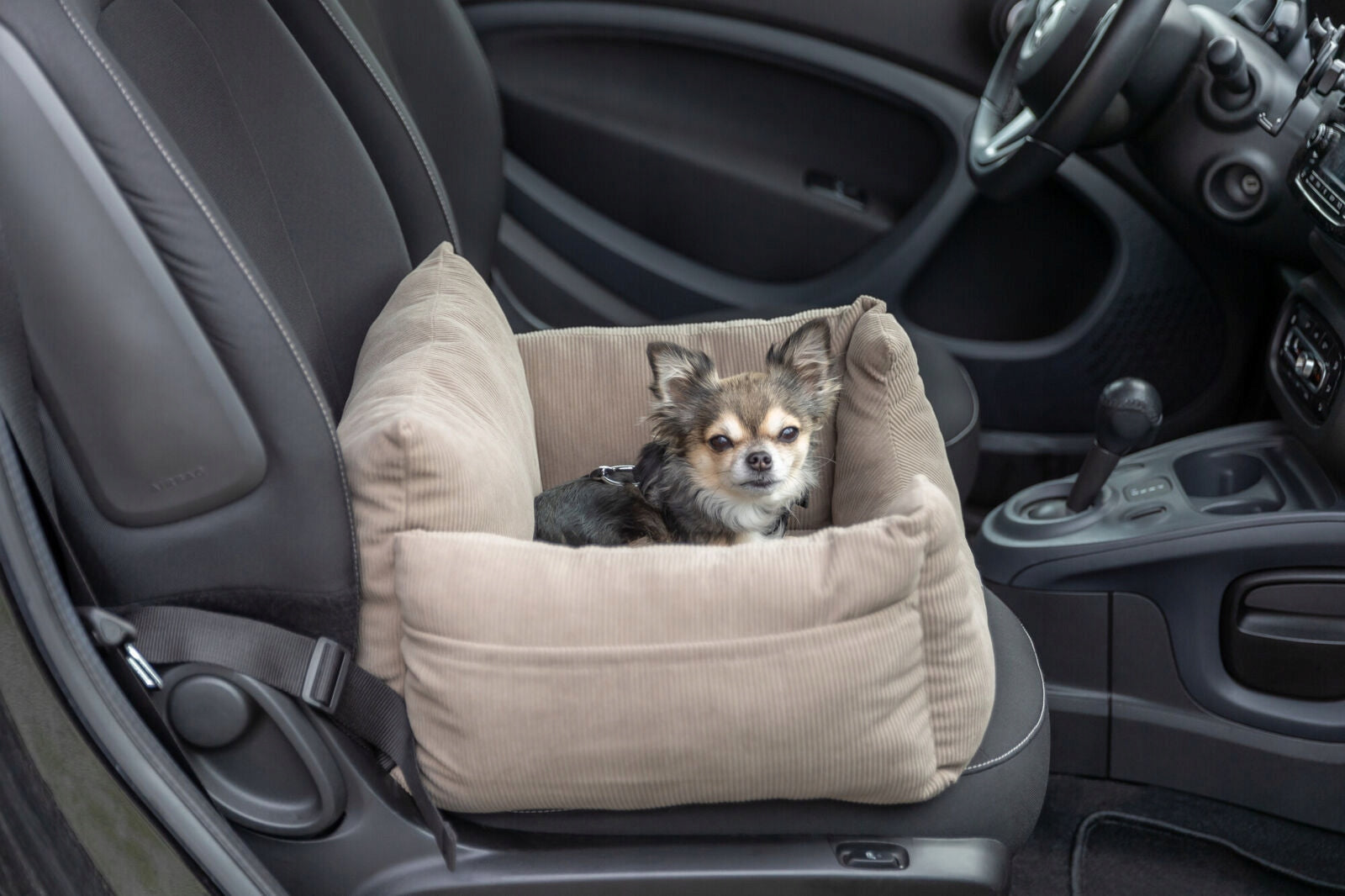Car seat for car and home Transporter TRIXIE 55x50x30cm Trade name Fotelik