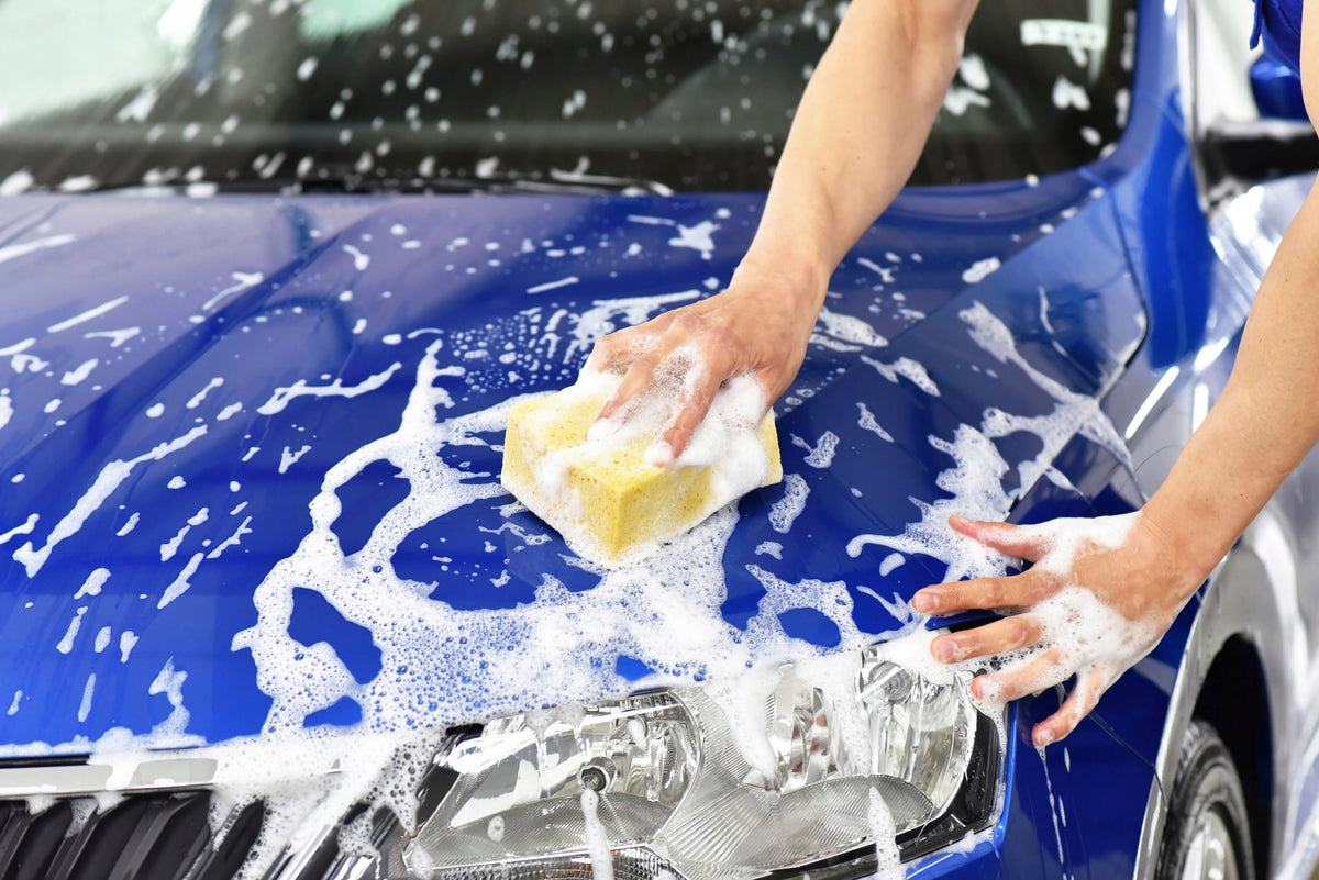 Car shampoo with wax ProElite Brillant Shampoo 5L Manufacturer's catalog number Brillant Shampoo 5L