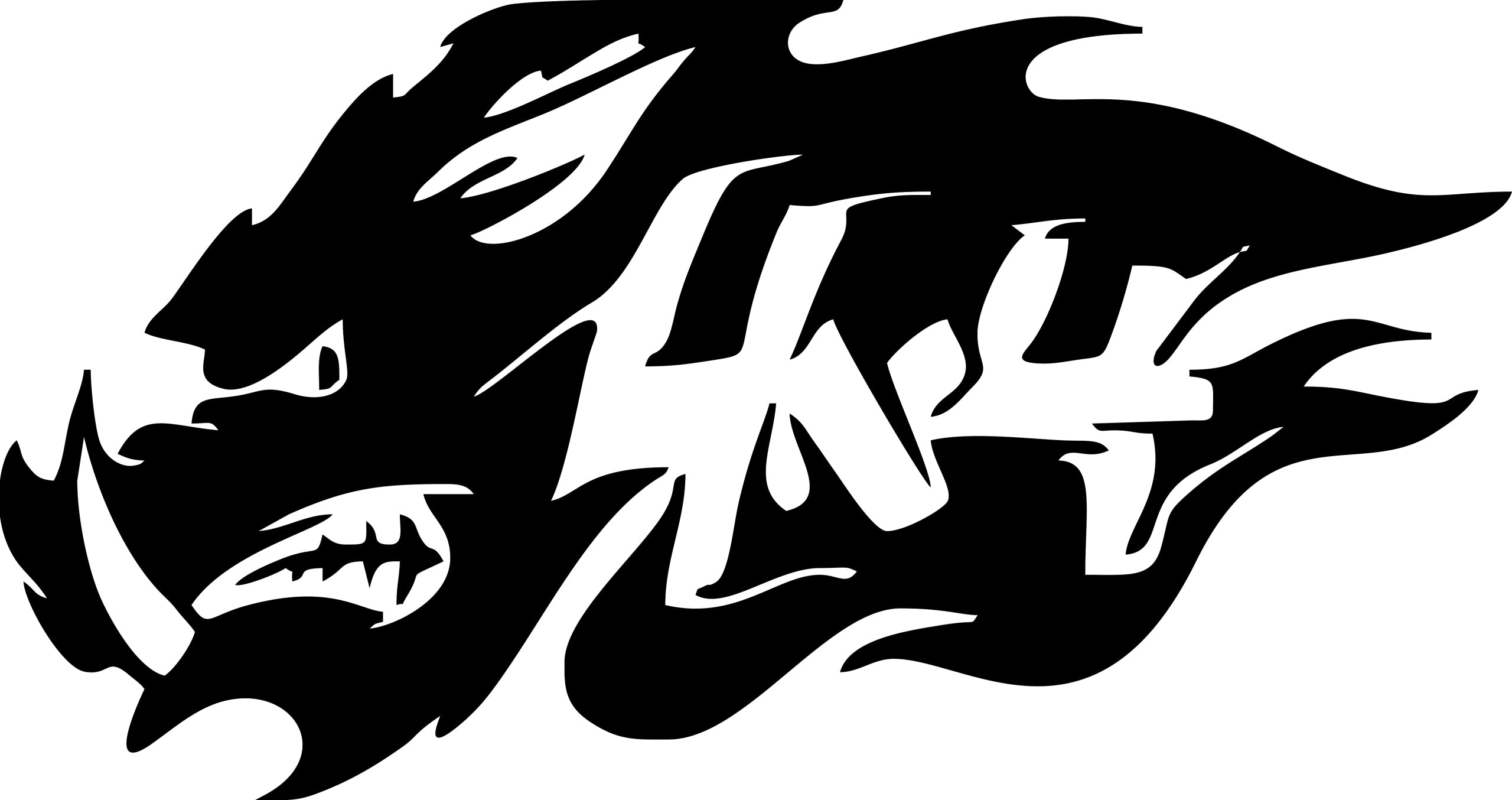Car sticker helmet laptop glass BOAR 4X4 OFF ROAD 14 x 26,4 cm
