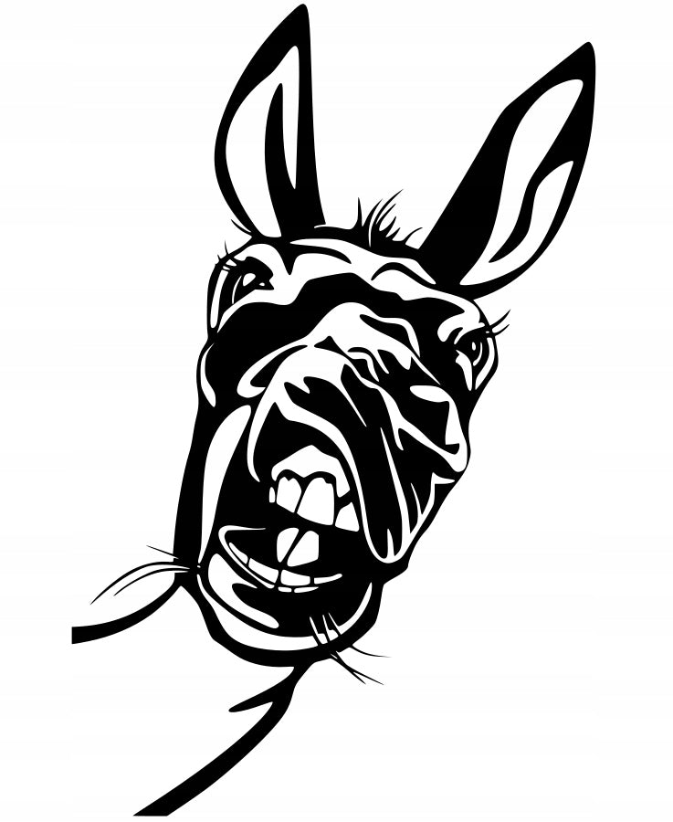 Car sticker helmet laptop glass DONKEY 21 x 13,6 cm