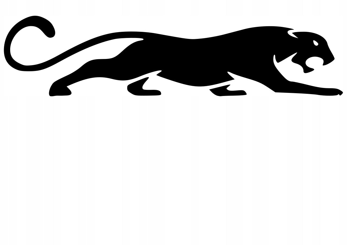 Car sticker helmet laptop glass PANTHER 5 X 20,8 cm