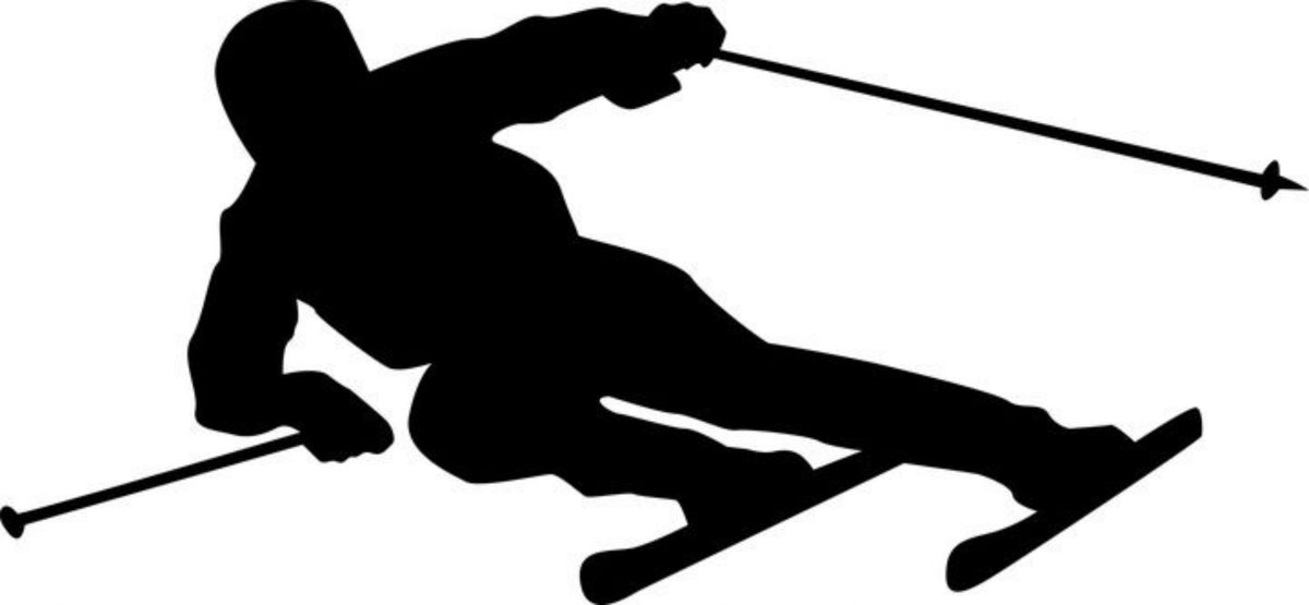 Car sticker helmet laptop trunks SKIING 10 x 21,6 cm