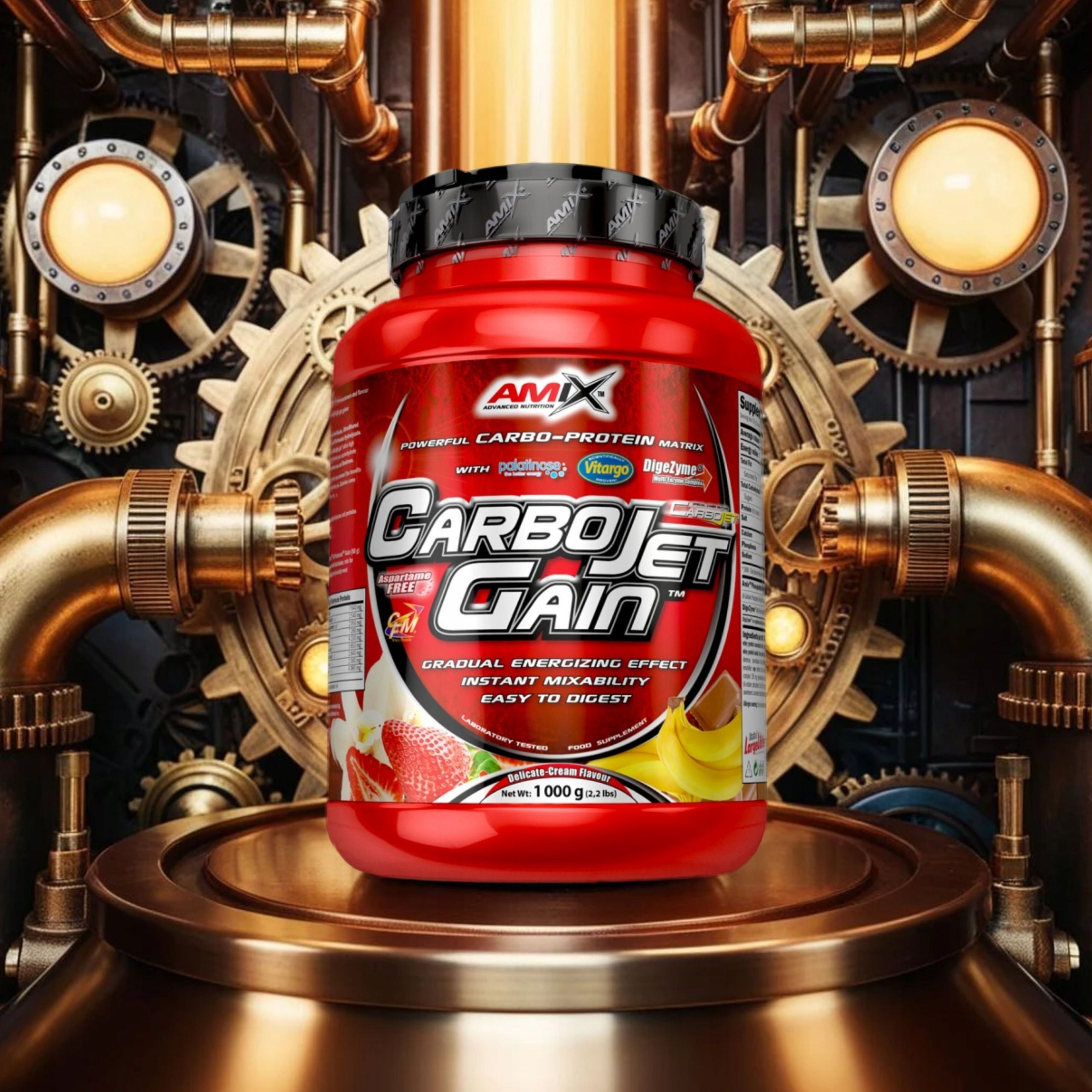 CarboJet Gain Muscle Mass Conditioner WPI CFM Complex Carbohydrates 2 x 1kg Expiration date at least six months from the date of purchase