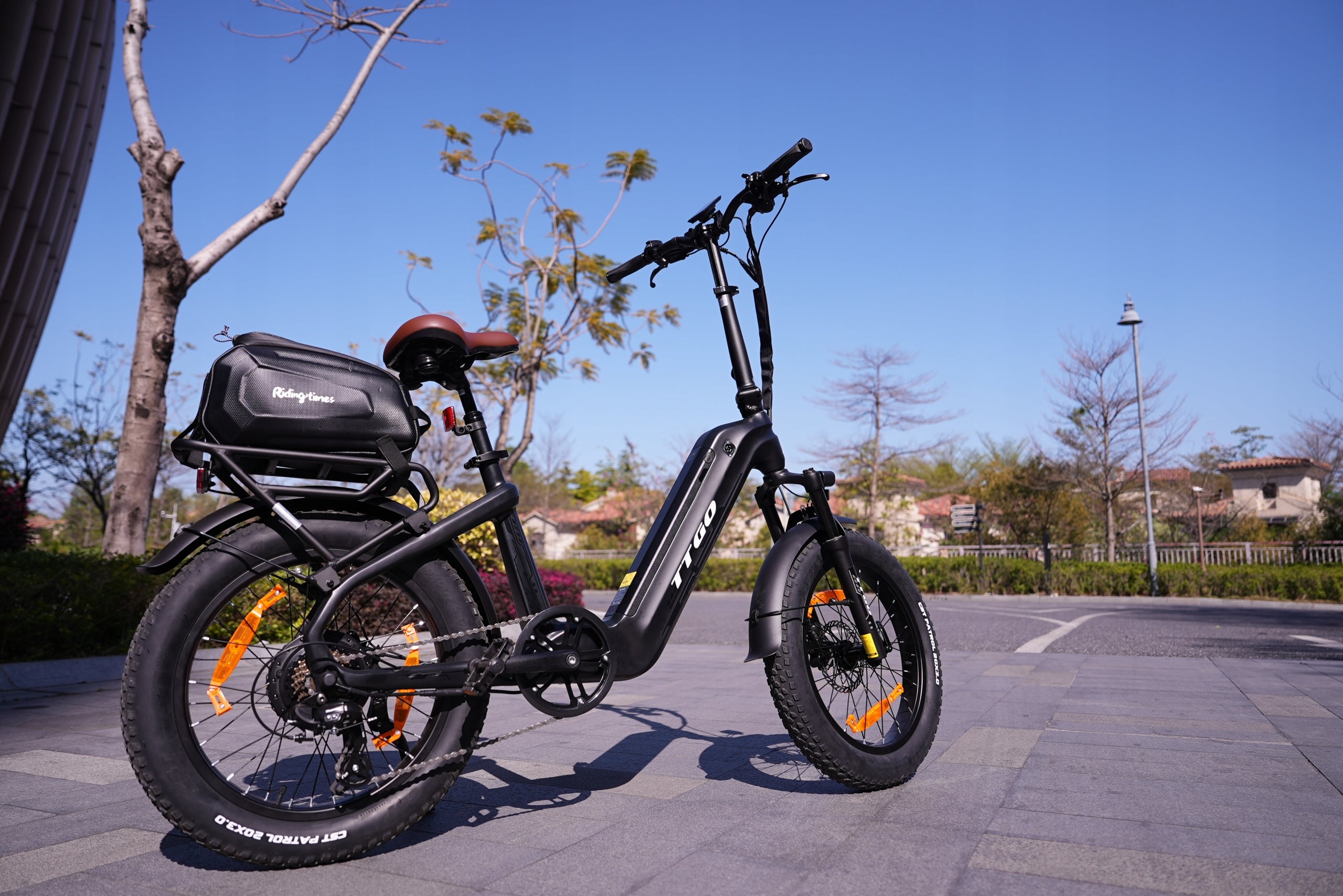 Carbon Fiber Electric Bike TTGO F8 250W 48V 18AH 25KM/H 150KM 20" Brand TTGO