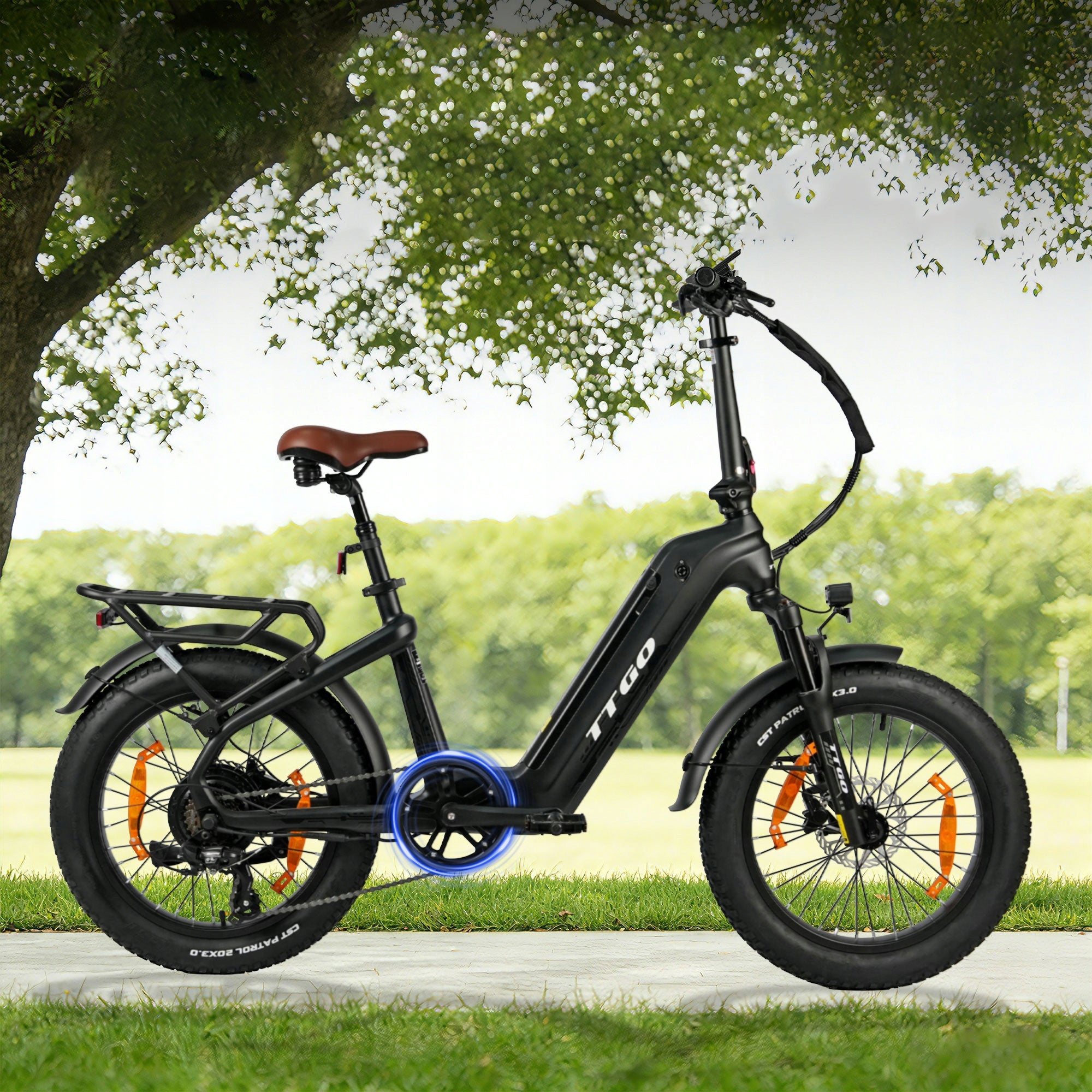Carbon Fiber Electric Bike TTGO F8 250W 48V 18AH 25KM/H 150KM 20" Packaging status original
