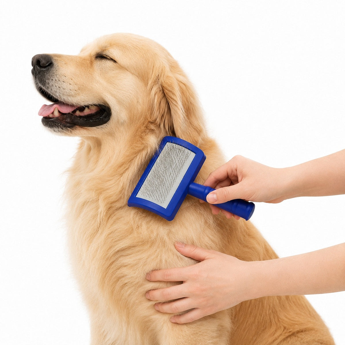 Carding with Long Needles for Cat Dog for Tangles Washing Removal Pl
