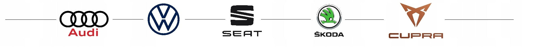 Auto-Lufterfrischer VIP 555, 1St. 