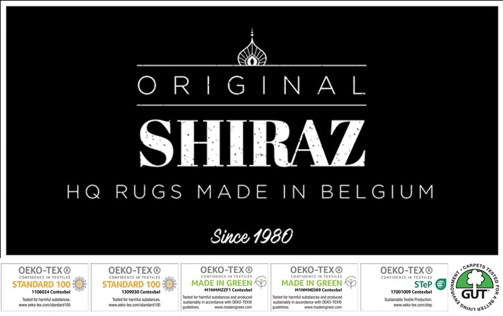 Carpet 250x350 Original Belgian Alfa for Room Living Rooms Brown Modern Manufacturer code Alfa 250x350 Shiraz