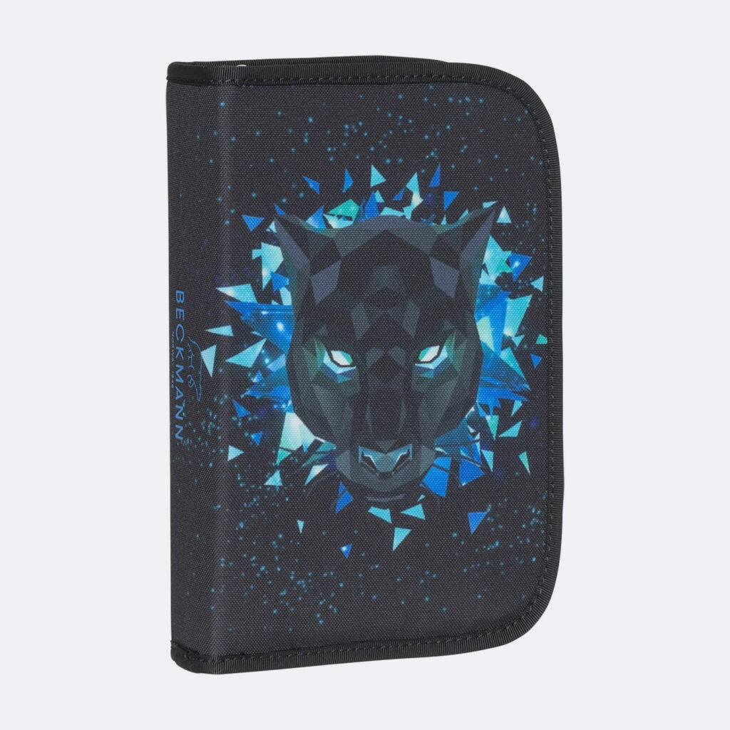Case with one section fully equipped, Panther