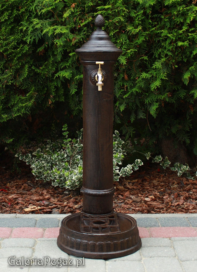 Cast Iron Solid Hydrant Drain Point Water Intake with 3/4 Faucet Manufacturer code 490009