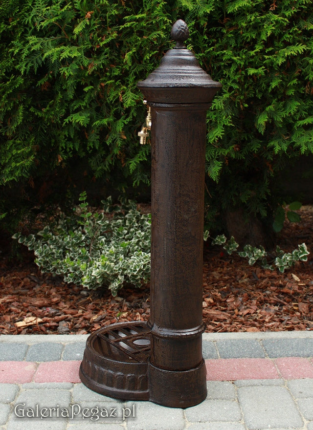 Cast Iron Solid Hydrant Drain Point Water Intake with 3/4 Faucet Type fountain (pump)