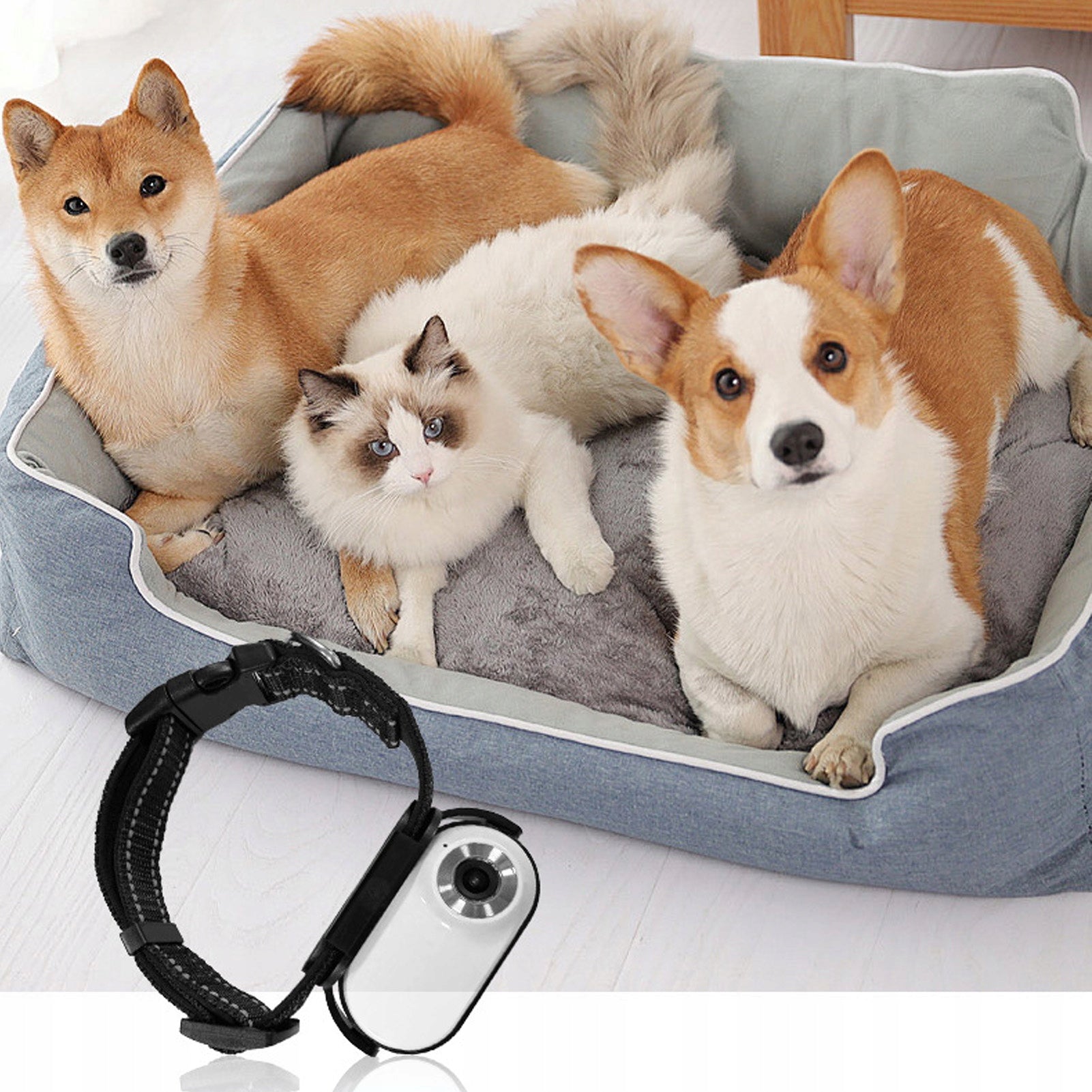 Cat Action Camera, Pet Collar Camera With 120 Degree Lens Model 2110