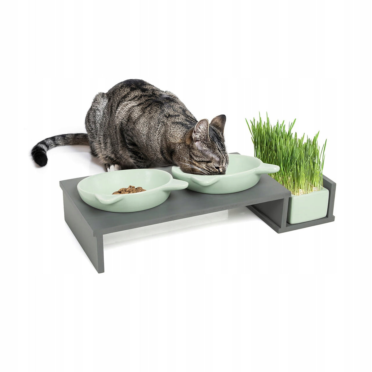Cat Bowls | Cat Bar |Canadian Cat | Grey Mint