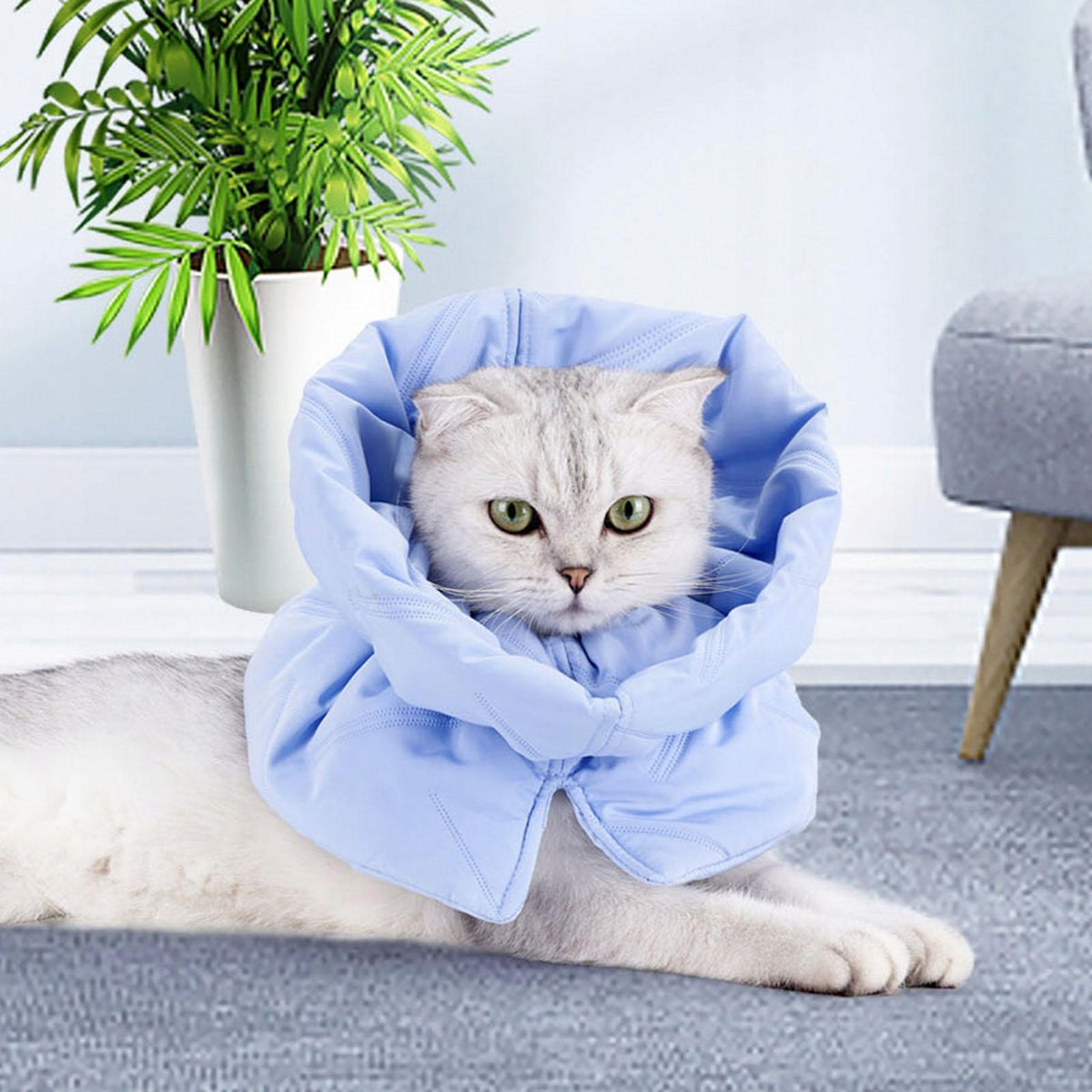 Cat Collar Cat Neck Circle Anti Bite Lick Protective Wound Pets Supplies S