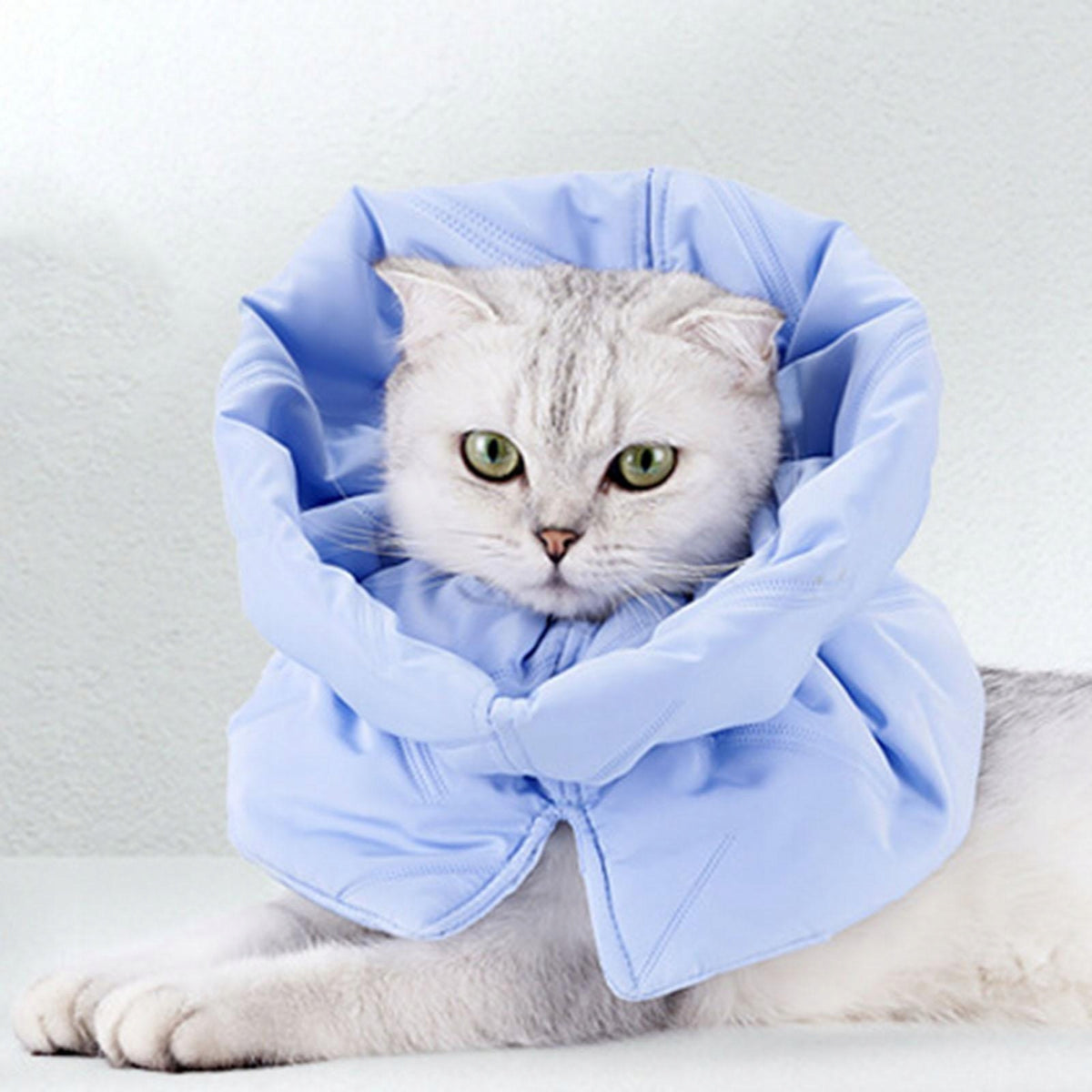 Cat Collar Cat Neck Circle Pets Supplies Protective Wound Cats Kitten S