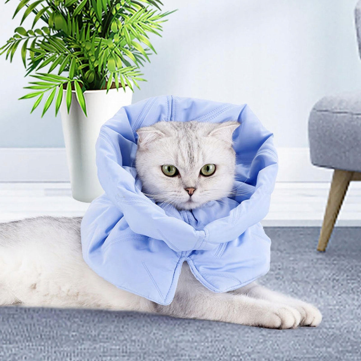Cat Collar, Cat Neck Collar Comfortable Manufacturer code 14564066537