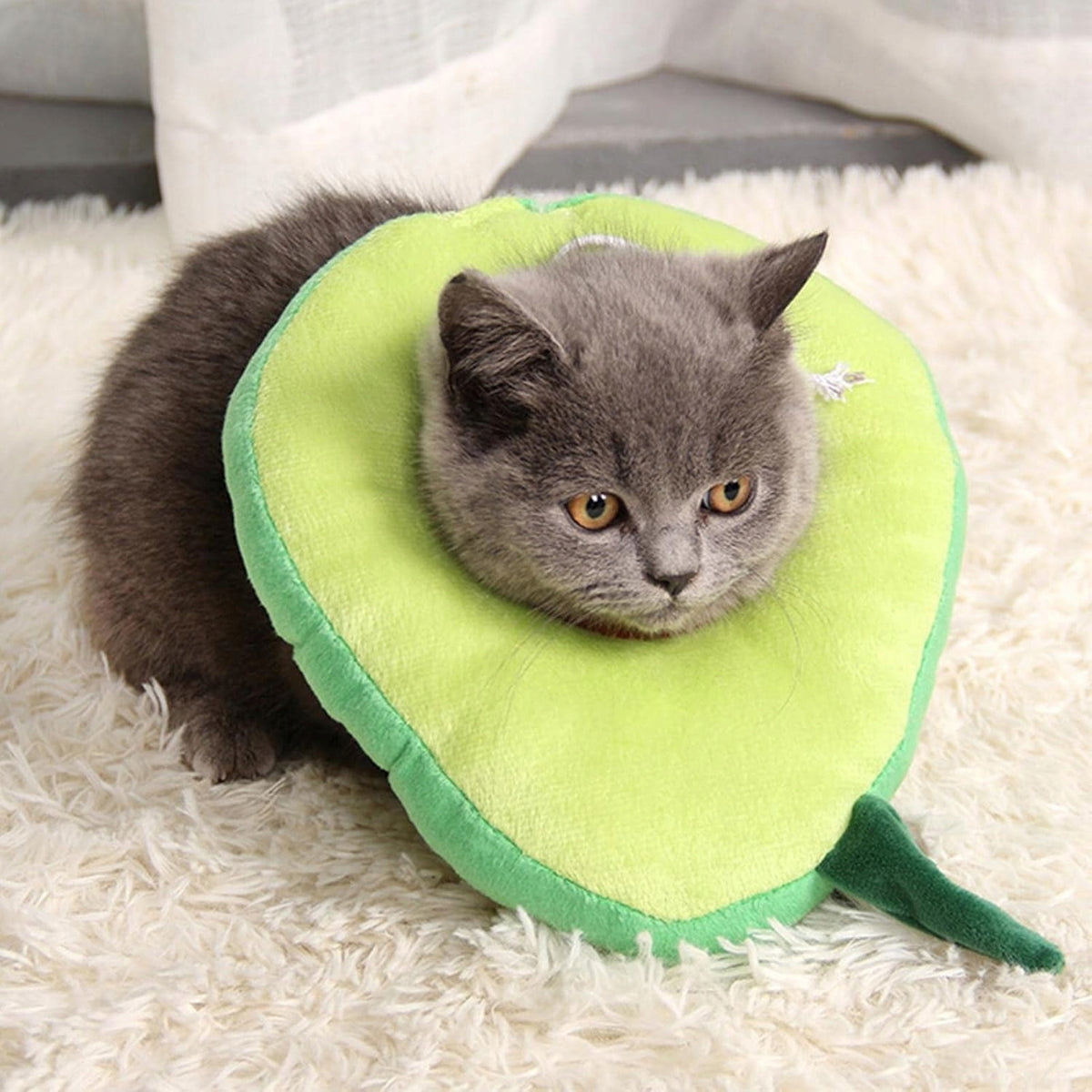 Cat Collar | Soft Protective Collar for Dogs Brand no brand