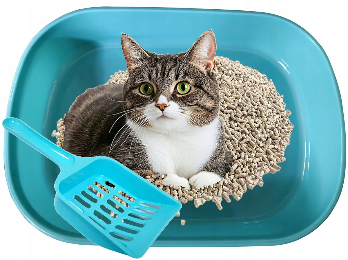 Cat Cuvette Kittens with Spatula Toilet for Litter Open Large Brand Reverse