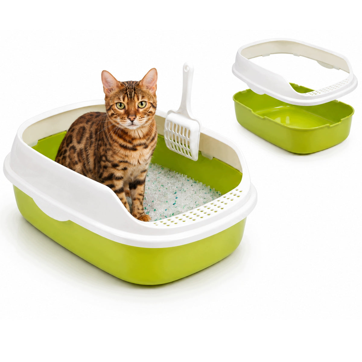 Cat Cuvette Open Toilet with Litter Spatula with Frame 40x30cm Green Packaging status original