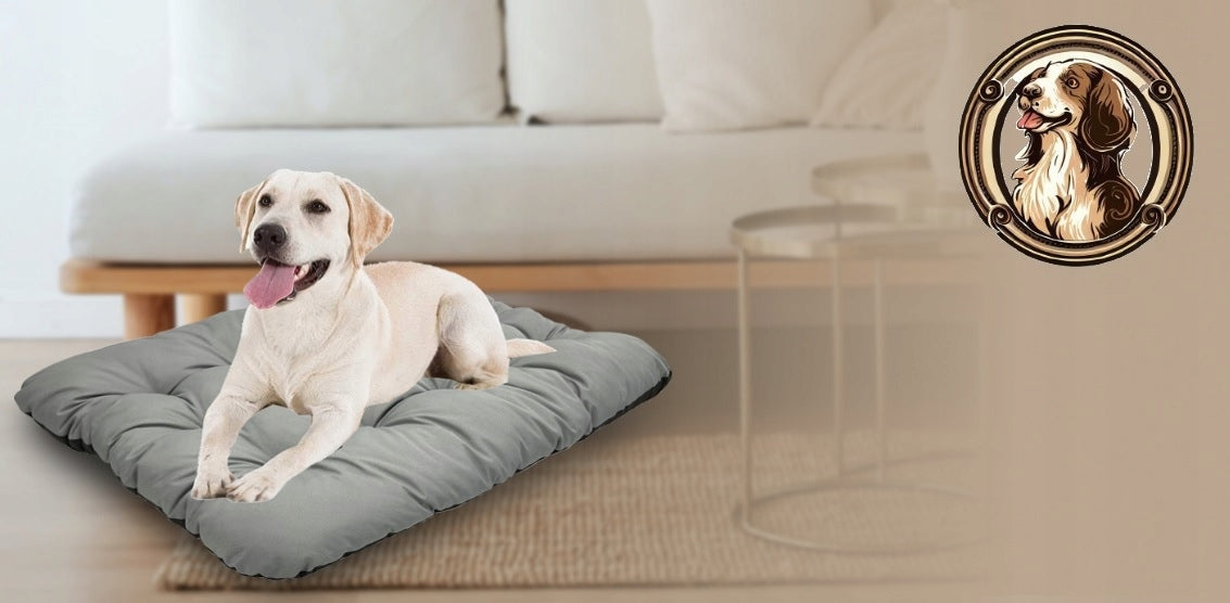 Cat Dog Bed Pillow Bed Waterproof Large Grey 80x60 cm Brand no brand