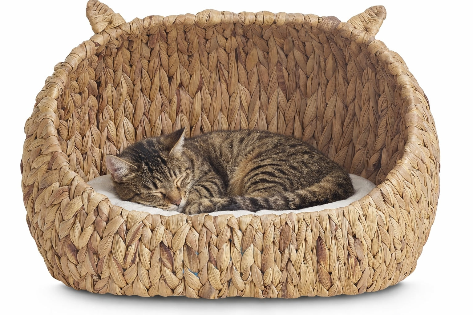 Cat Dog Bed Playpen Bedding Plush Pillow Removable