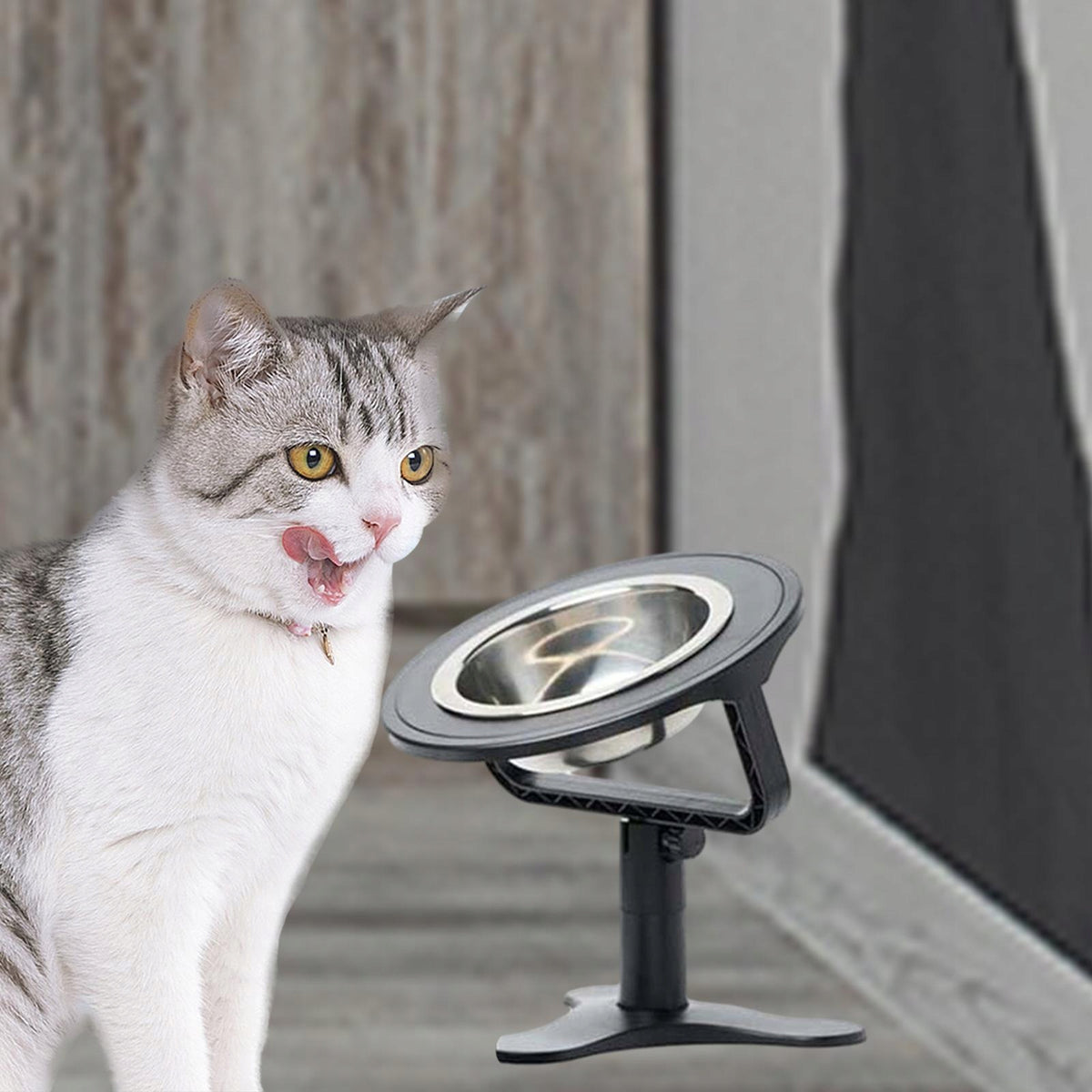 Cat Dog Bowl And Stand Angle Adjustable Versatile Smooth Surface Stable