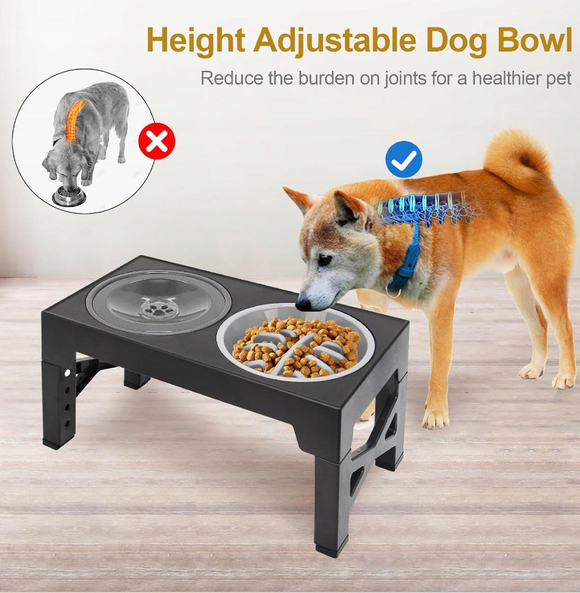 Cat Dog Bowl Double On Stand Slowing Food Non-Spilling Material metal