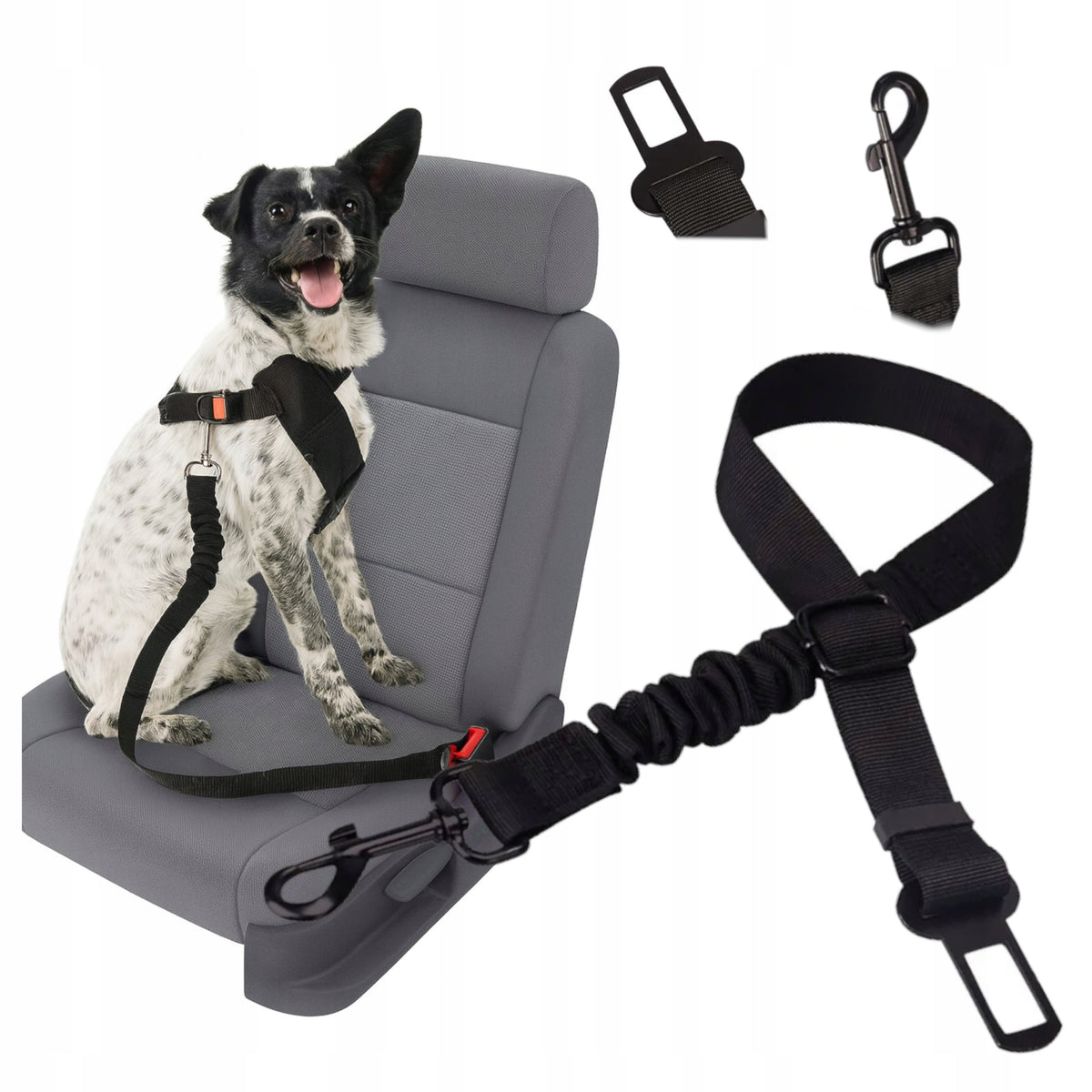 Cat Dog Car Safety Lanyard Adjustable with Shock Absorber