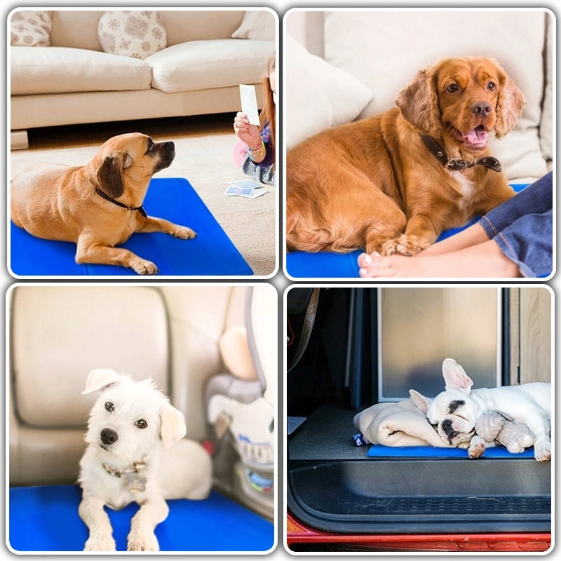Cat Dog Cooling Mat Gel Bed Waterproof 90x50cm Model CHŁODZĄCA MATA LEGOWISKO DUŻA DLA PSA KOTA