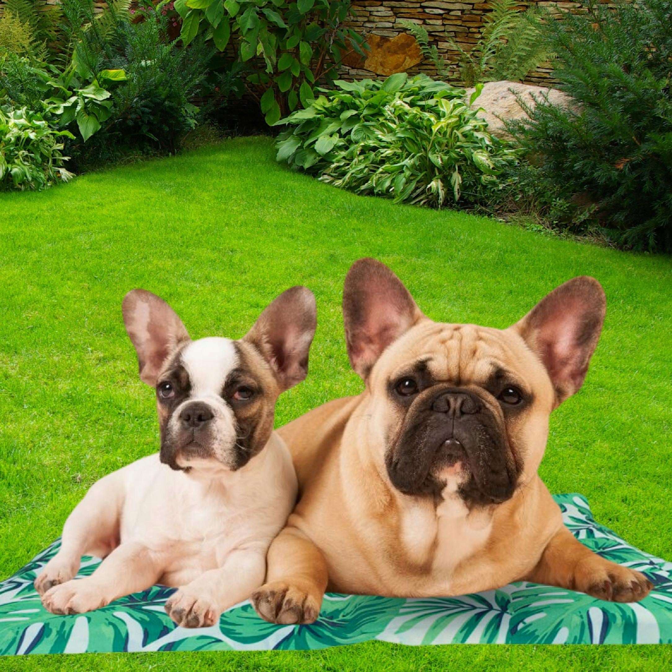Cat Dog Cooling Mat Waterproof Bed for SUMMER HEAT M 40x50 Manufacturer code mata ICE S 40 x 50