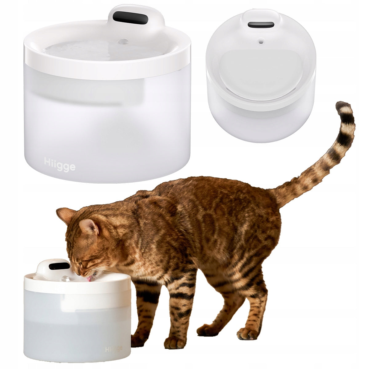 Cat Dog Fountain DRINKER FOR Bowl Wireless Drinker APP