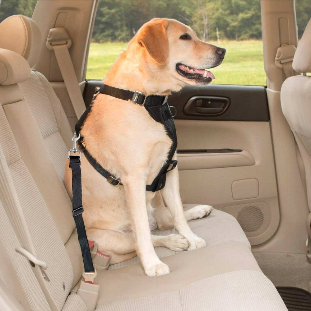 Cat Dog LANYARD for Car SEAT BELT Main material other
