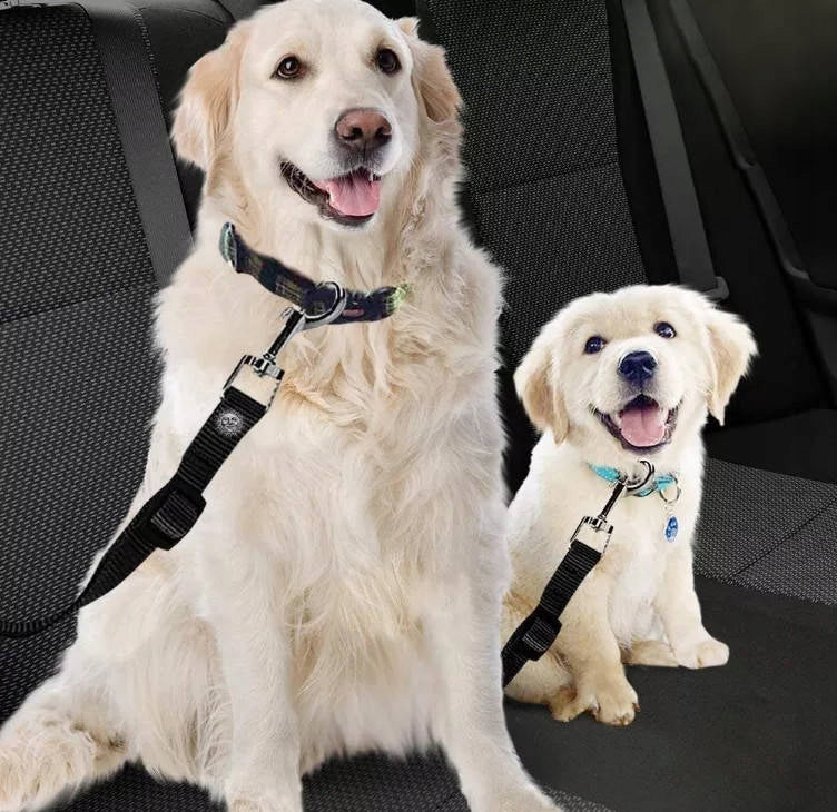 Cat Dog LANYARD for Car SEAT BELT Manufacturer code 5904553960536